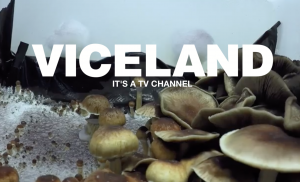 Viceland shows back to TV after deal with Bell