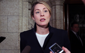 Joly cites confidentiality for redactions in Netflix ATIP request