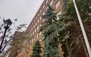 As CRTC rejects FairPlay, proposal could move to legislative reviews