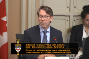 Elections chief to Senate: give OPC oversight over party privacy policies
