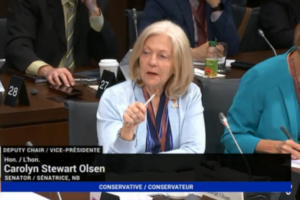 ISPs shouldn’t need government funding for rural builds, senator says