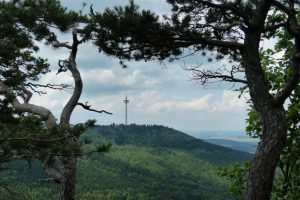 Resistance to tower builds shows need to ‘rethink’ consultations: MP