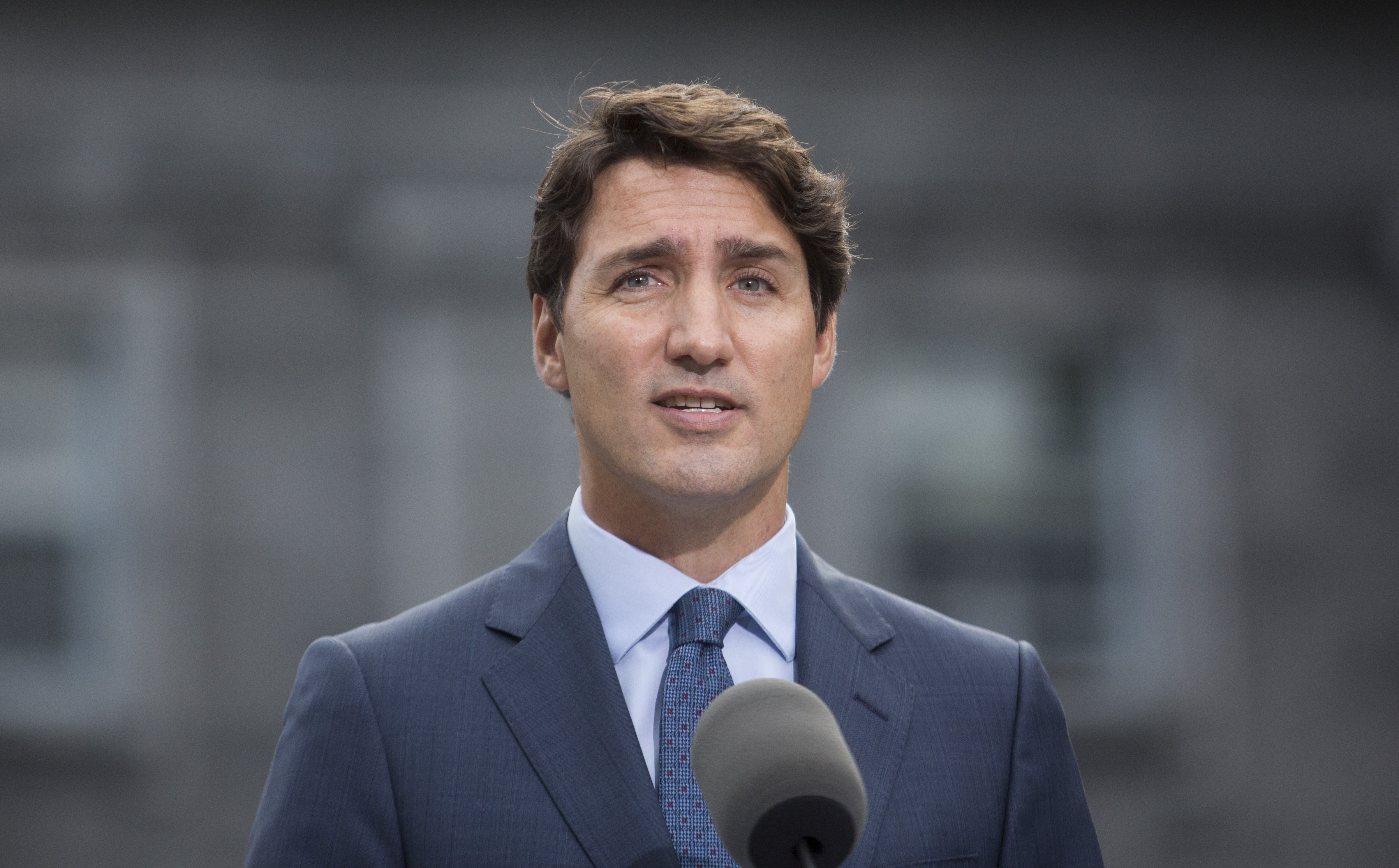 Liberals promise access for ‘qualified’ MVNOs, spectrum auction changes