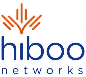Hydro Ottawa reenters telecom market with Hiboo Networks