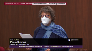Bill S-7 would "weaponize the Customs Act": Senator