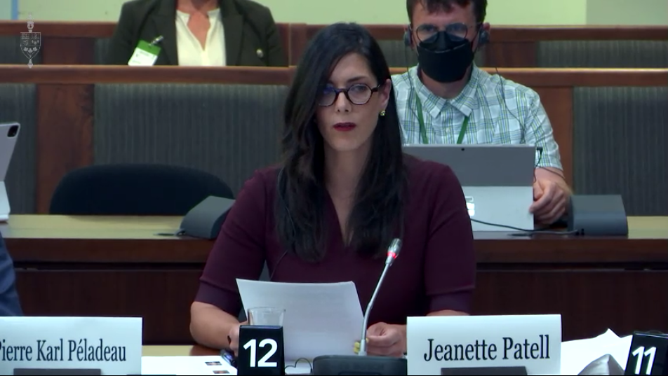 Foreign streamers wary of CRTC power under Online Streaming Act, CHPC told Foreign streamers wary of CRTC power under Online Streaming Act, CHPC told