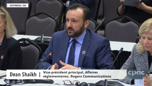Only foreign streamers should be paying contribution, CRTC told