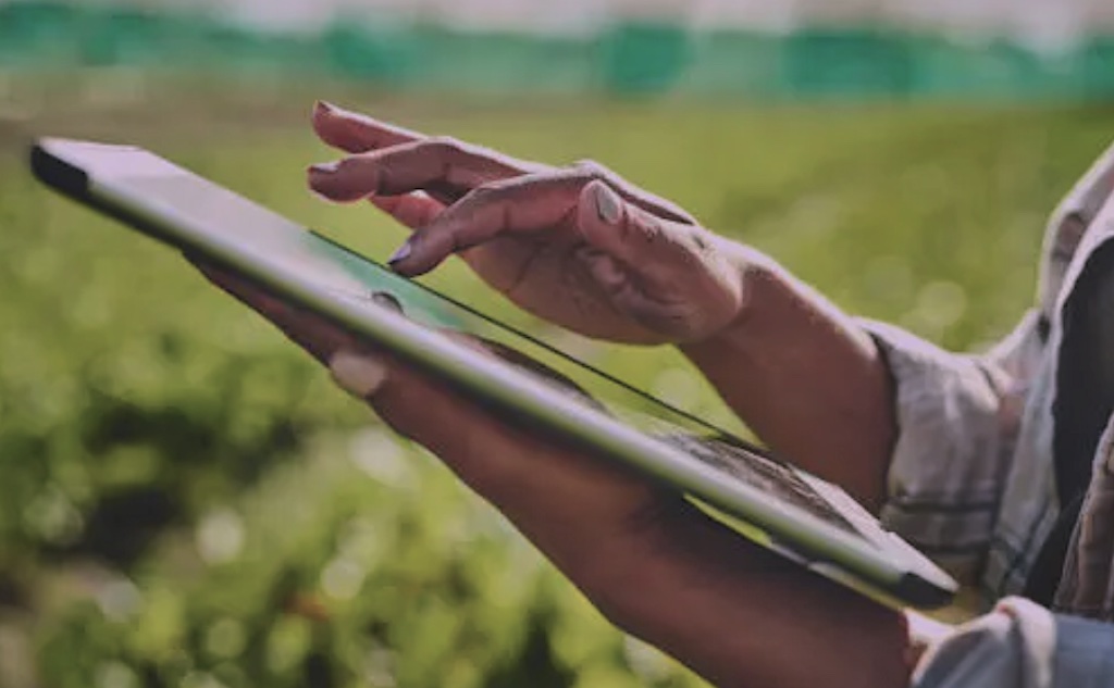 A person outdoors in a field using a touchscreen tablet.