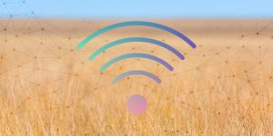 Fed funnel $141 million into broadband for rural Saskatchewan