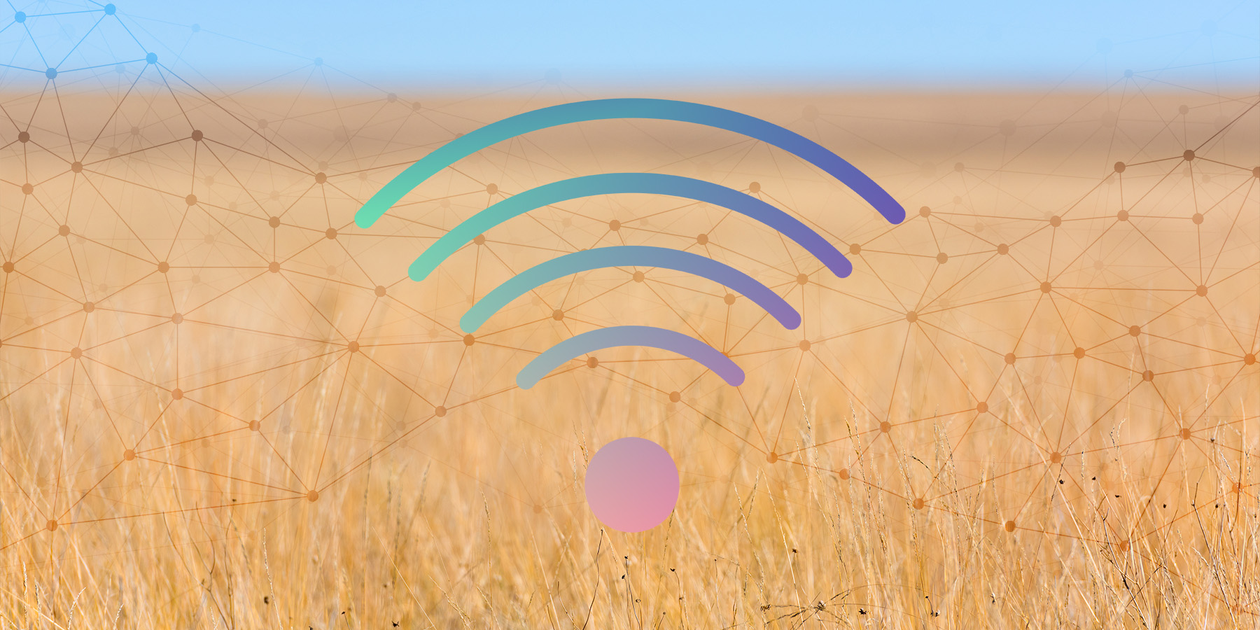 Fed funnel $141 million into broadband for rural Saskatchewan