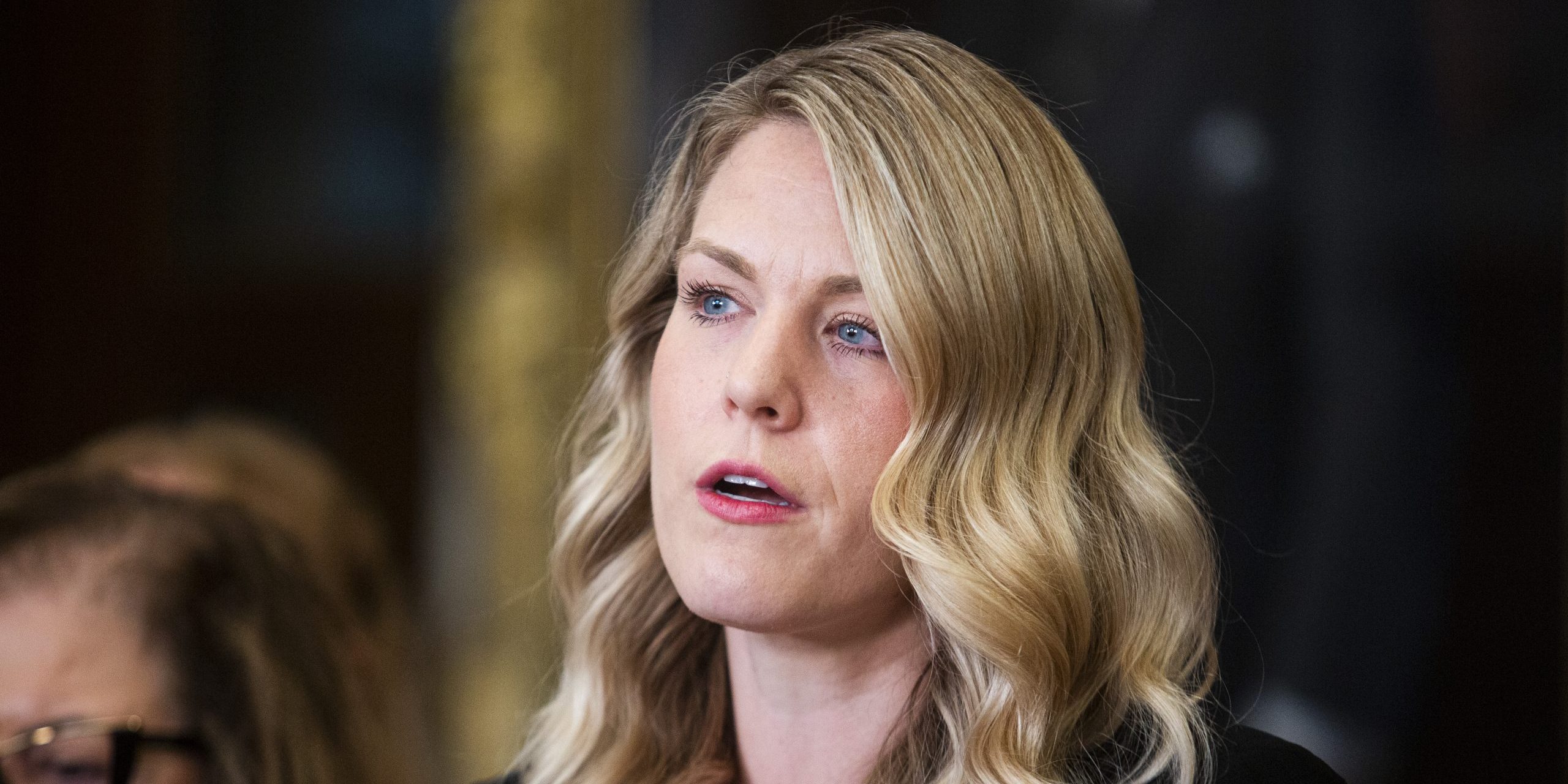 Tory MP calls CRTC decision-making power a ‘democratic problem’ Tory MP calls CRTC decision-making power a ‘democratic problem’